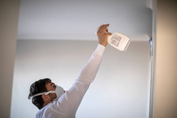 Crawl Space Mold Removal in Rolesville, NC