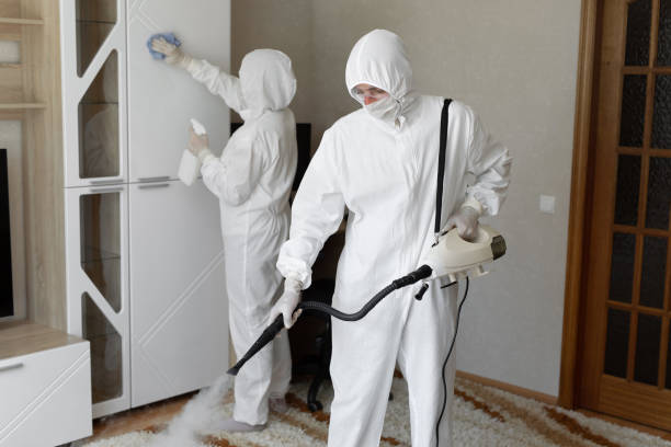 Mold Removal and Inspection in Rolesville, NC