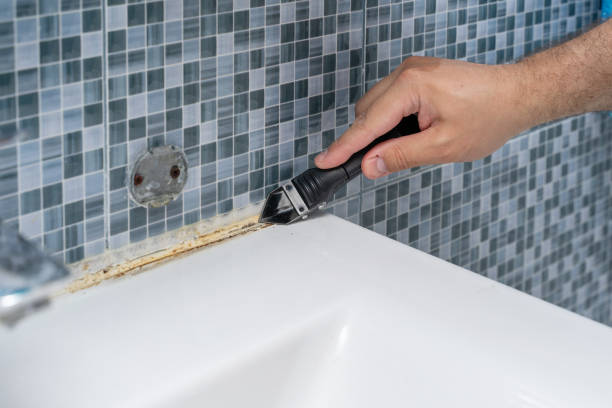 Best Same-Day Mold Removal  in Rolesville, NC