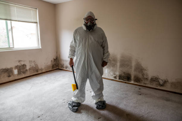 Best Mold Removal Process  in Rolesville, NC